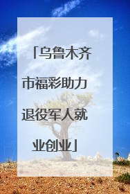 乌鲁木齐市福彩助力退役军人就业创业
