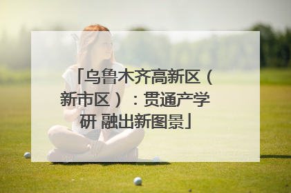 乌鲁木齐高新区（新市区）：贯通产学研 融出新图景