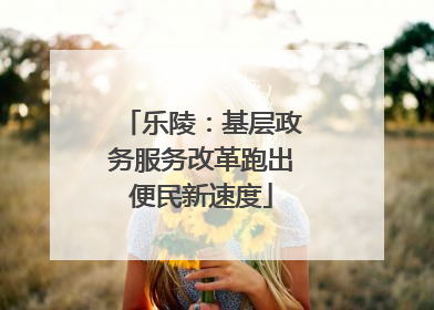 乐陵：基层政务服务改革跑出便民新速度