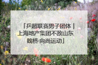 乒超联赛男子团体｜上海地产集团不敌山东魏桥·向尚运动