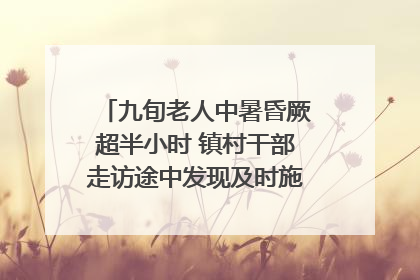 九旬老人中暑昏厥超半小时 镇村干部走访途中发现及时施救｜看见正能量