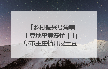 乡村振兴号角响 土豆地里竞赛忙｜曲阜市王庄镇开展土豆收获劳动竞赛