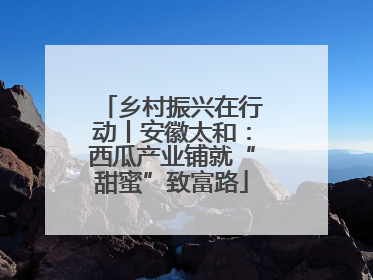乡村振兴在行动丨安徽太和：西瓜产业铺就“甜蜜”致富路