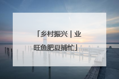 乡村振兴｜业旺鱼肥夏捕忙