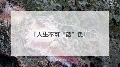 人生不可“菇”负