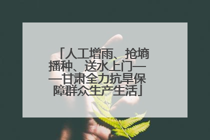 人工增雨、抢墒播种、送水上门——甘肃全力抗旱保障群众生产生活