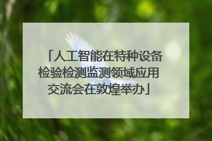人工智能在特种设备检验检测监测领域应用交流会在敦煌举办