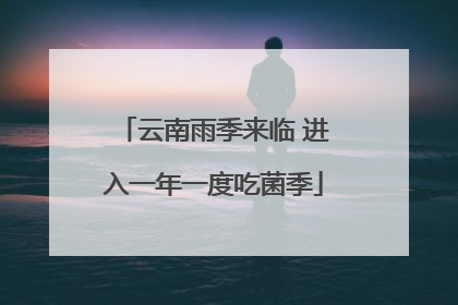 云南雨季来临 进入一年一度吃菌季