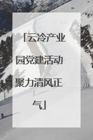 云冷产业园党建活动聚力清风正气