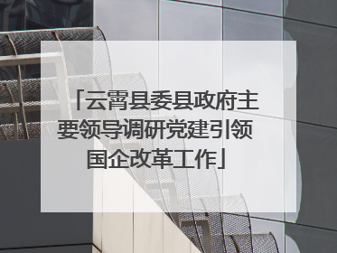 云霄县委县政府主要领导调研党建引领国企改革工作