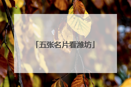 五张名片看潍坊