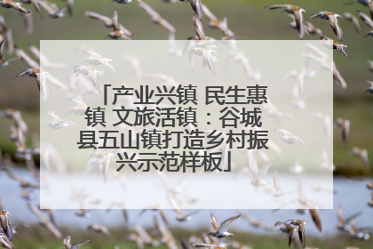 产业兴镇 民生惠镇 文旅活镇：谷城县五山镇打造乡村振兴示范样板