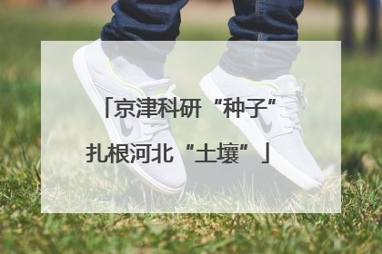 京津科研“种子”扎根河北“土壤”