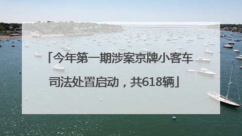 今年第一期涉案京牌小客车司法处置启动，共618辆
