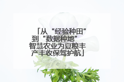 从“经验种田”到“数据种地” 智慧农业为夏粮丰产丰收保驾护航