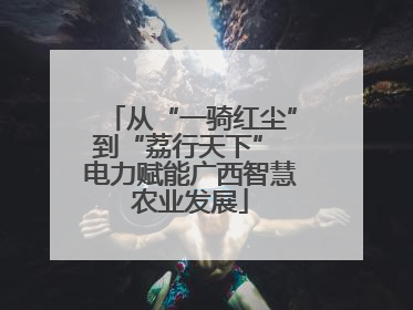 从“一骑红尘”到“荔行天下” 电力赋能广西智慧农业发展