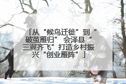 从“候鸟迁徙”到“破茧雁归” 会泽县“三翼齐飞”打造乡村振兴“创业雁阵”
