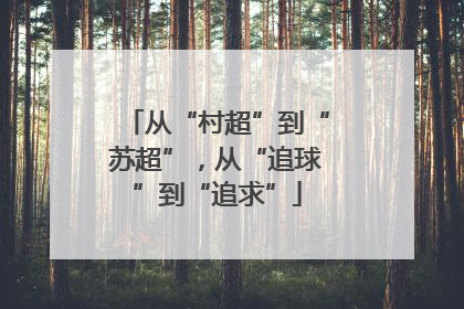 从“村超”到“苏超”，从“追球”到“追求”