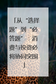从“选择题”到“必答题”：消费与投资必将协同突围