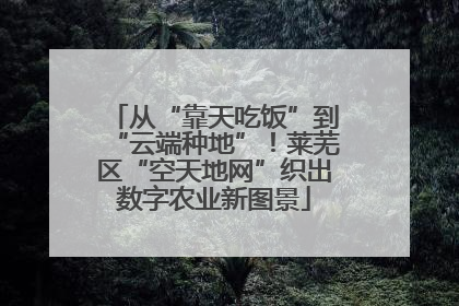 从“靠天吃饭”到“云端种地”！莱芜区“空天地网”织出数字农业新图景