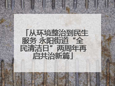 从环境整治到民生服务 永阳街道“全民清洁日”两周年再启共治新篇