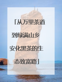 从万里茶道到绿满山乡 安化黑茶的生态致富路