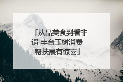 从品美食到看非遗 丰台玉树消费帮扶展有惊喜