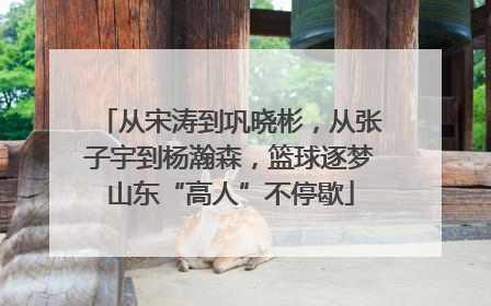 从宋涛到巩晓彬，从张子宇到杨瀚森，篮球逐梦山东“高人”不停歇