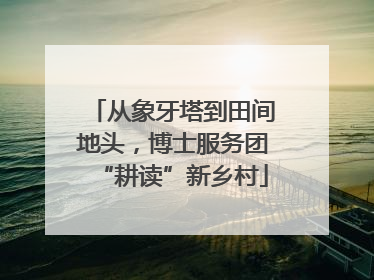 从象牙塔到田间地头，博士服务团“耕读”新乡村