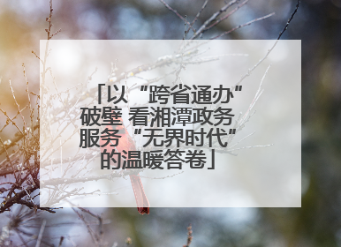 以“跨省通办”破壁 看湘潭政务服务“无界时代”的温暖答卷