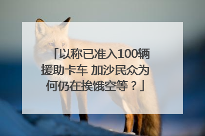 以称已准入100辆援助卡车 加沙民众为何仍在挨饿空等？