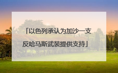 以色列承认为加沙一支反哈马斯武装提供支持