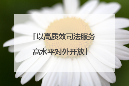 以高质效司法服务高水平对外开放