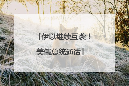 伊以继续互袭！美俄总统通话