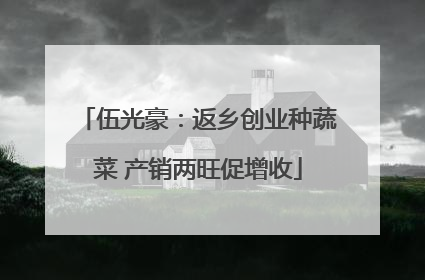 伍光豪：返乡创业种蔬菜 产销两旺促增收