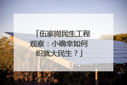 伍家岗民生工程观察：小确幸如何织就大民生？