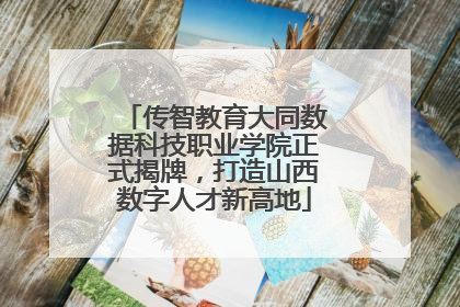 传智教育大同数据科技职业学院正式揭牌，打造山西数字人才新高地