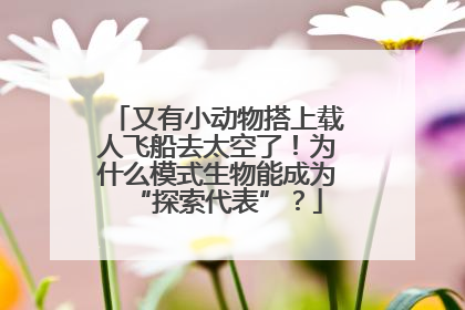 又有小动物搭上载人飞船去太空了！为什么模式生物能成为“探索代表”？