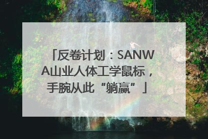反卷计划：SANWA山业人体工学鼠标，手腕从此“躺赢”