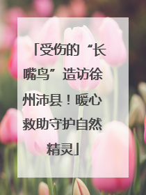 受伤的“长嘴鸟”造访徐州沛县！暖心救助守护自然精灵