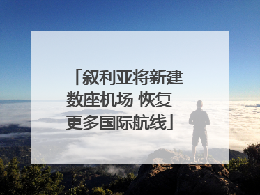 叙利亚将新建数座机场 恢复更多国际航线