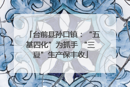 台前县孙口镇：“五基四化”为抓手 “三夏”生产保丰收