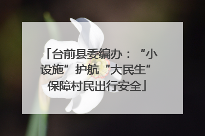 台前县委编办：“小设施”护航“大民生” 保障村民出行安全