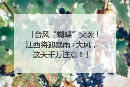 台风“蝴蝶”突袭！江西将迎暴雨+大风，这天千万注意！