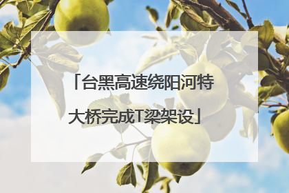 台黑高速绕阳河特大桥完成T梁架设