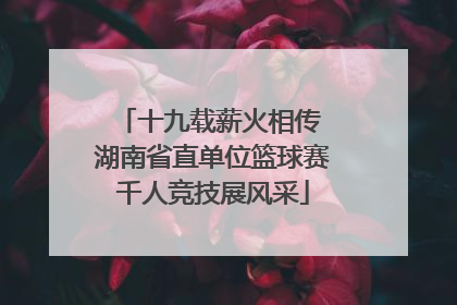 十九载薪火相传 湖南省直单位篮球赛千人竞技展风采