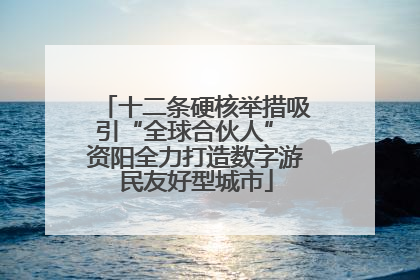 十二条硬核举措吸引“全球合伙人” 资阳全力打造数字游民友好型城市
