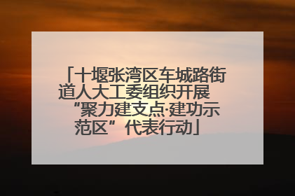 十堰张湾区车城路街道人大工委组织开展 “聚力建支点·建功示范区”代表行动