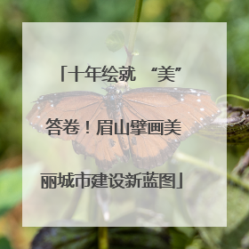 十年绘就 “美” 答卷！眉山擘画美丽城市建设新蓝图