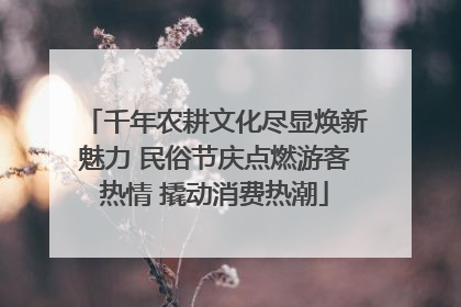 千年农耕文化尽显焕新魅力 民俗节庆点燃游客热情 撬动消费热潮